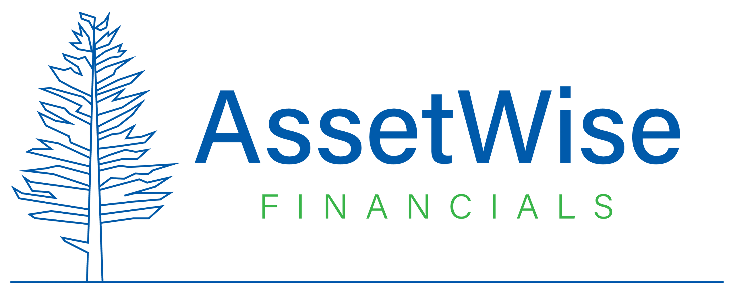Asset Wise Financials